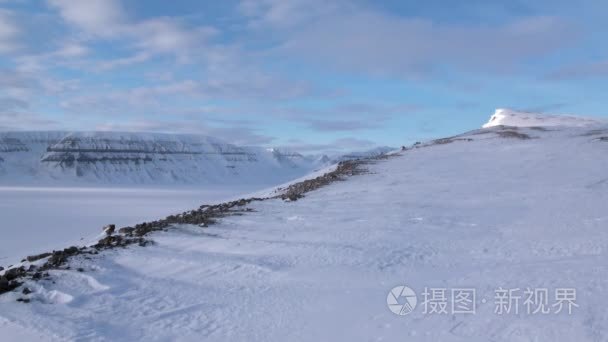 北极令人惊叹的冰雪沙漠景观视频