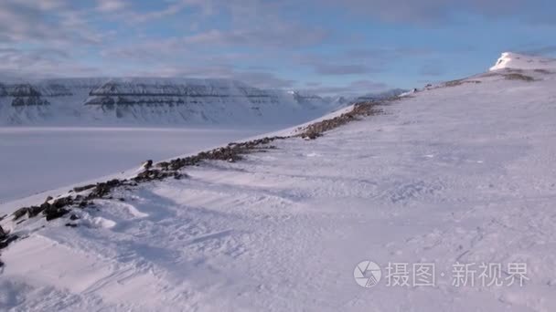 北极令人惊叹的冰雪沙漠景观视频