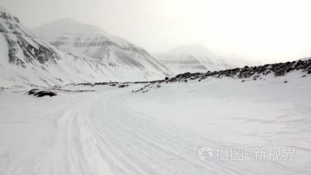 北极令人惊叹的冰雪沙漠景观视频