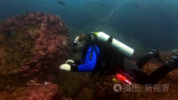 海底潜水水下潜水员视频