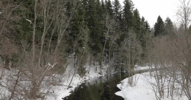 下午在冬季森林中的河流视频
