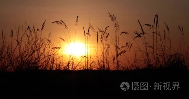 日落在现场视频4k