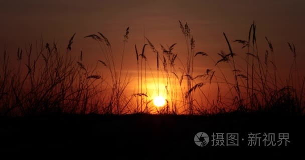 日落在现场视频4k