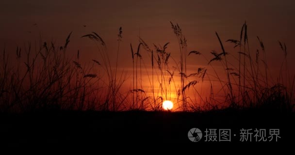 日落在现场视频4k