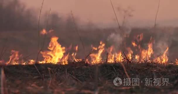 现场烧伤在晚上和烟雾来了视频