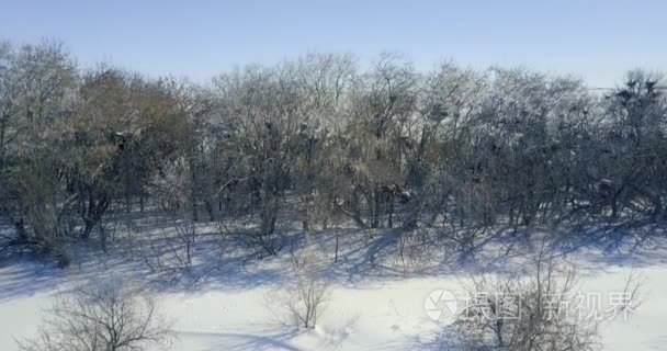 鸟瞰冬季景观