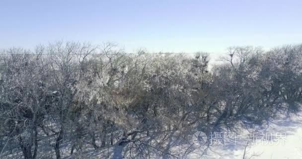 鸟瞰冬季景观