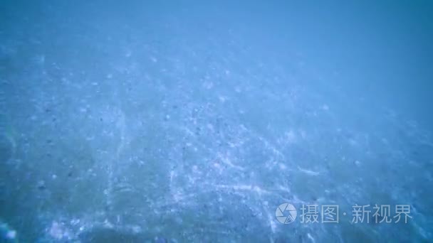 美丽透明的大海。4k 视频