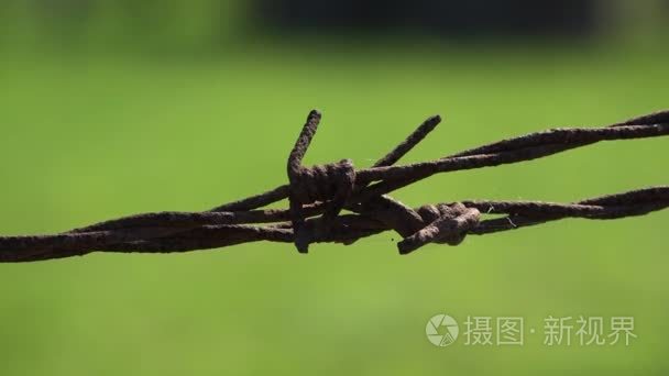 详细的金属栅栏节点, 绿色弹簧背景, 强, 最后永远网络视频