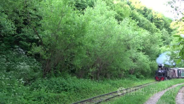 窄轨铁路蒸汽动力机车列车视频