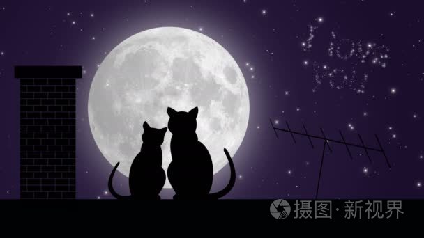 屋顶和月亮上的两只猫短视频