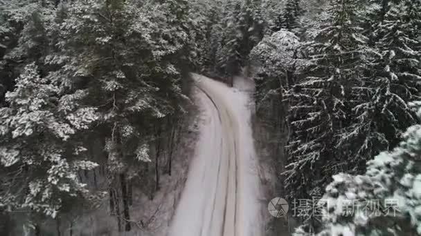 冬雪森林鸟瞰图视频