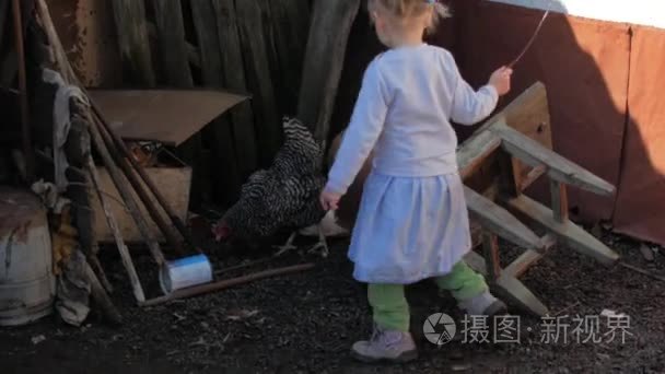 年轻金发女孩追逐小鸡外面视频