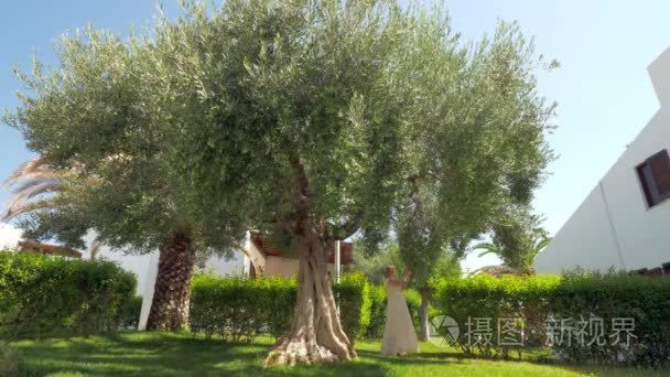 妇女采摘橄榄从树在庭院里视频