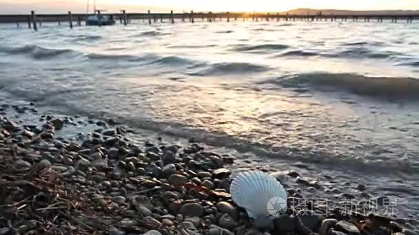 波浪海滩贝壳水湖