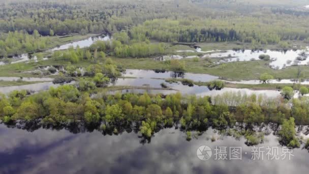 森林和河流的鸟瞰图。天空反映在水中。洪水牧场。空中镜头