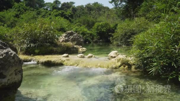 在雨林里的河视频