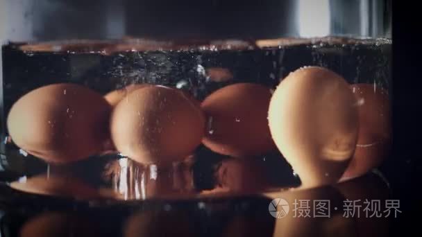 食品设计与理念视频