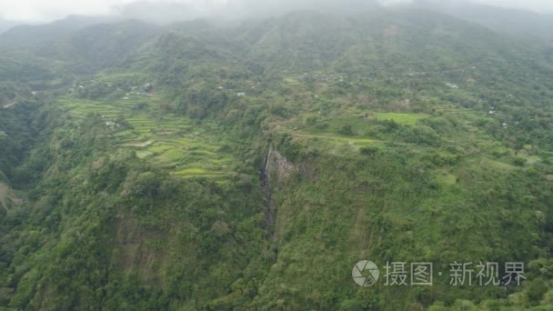 在山的水稻梯田视频