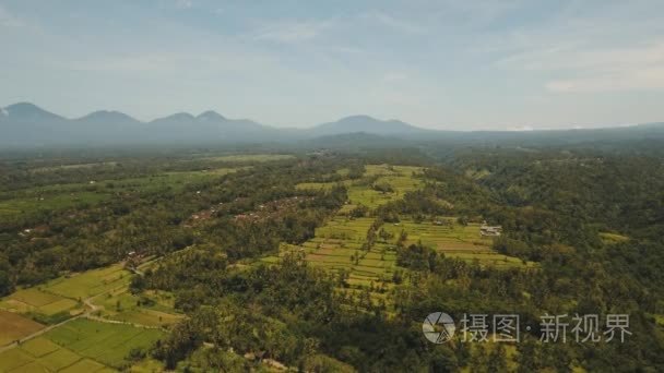 印度尼西亚巴厘岛梯田稻田视频