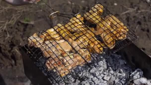 烤架上的腌制鸡肉和牛肉烤肉串视频