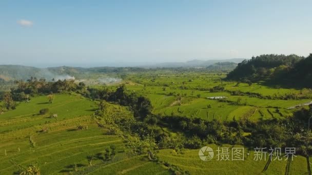 印尼巴厘岛山景园视频