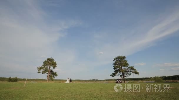 田野上绿树成荫的蓝天视频