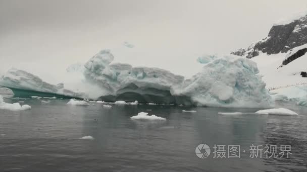 南极洲海洋中的冰山和浮冰视频