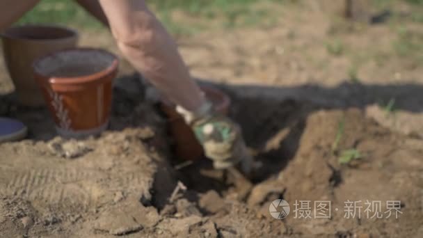 女孩把泥土留在花盆里