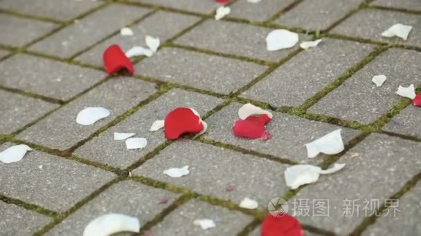 婚礼上地板上的花花瓣视频