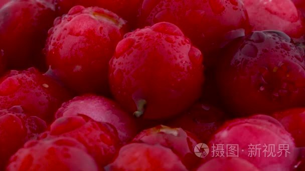 lingonberries 堆的宏。在转盘上旋转。水滴。特写