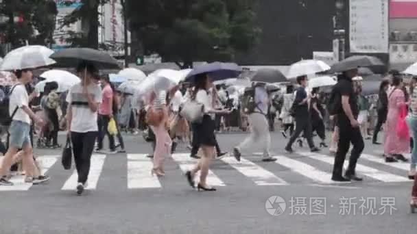 穿越人行横道的雨伞人视频