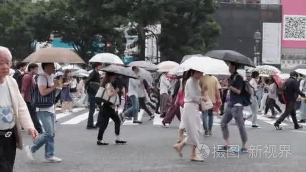 穿越人行横道的雨伞人视频