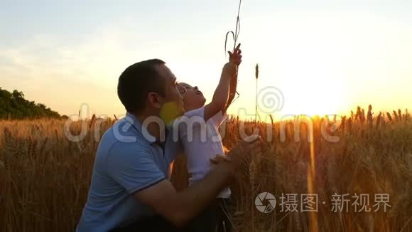 一个农夫和他的儿子正在考虑一种小麦作物，日落时在田野上。 爸爸和孩子都很高兴