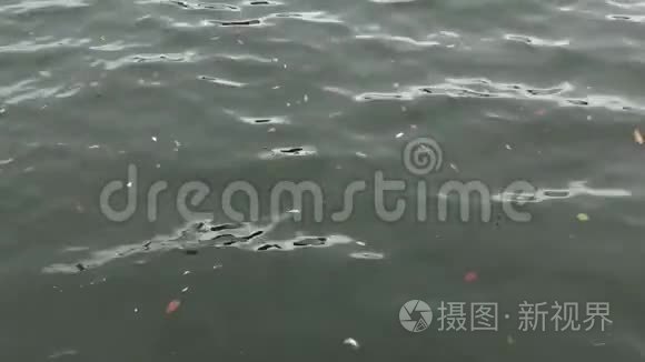 湖水运动视频