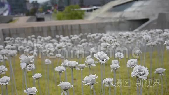 开了花灯视频