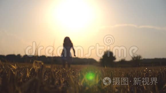 日落时美丽的女孩正沿着麦田奔跑。 年轻女子在草地上慢跑并要求自由。 夏季