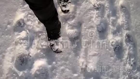 穿过雪地视频