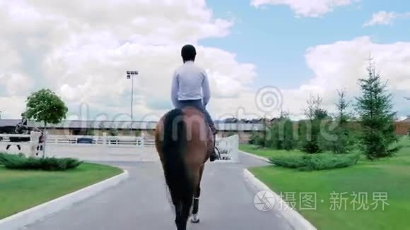 一个人骑着马去竞技场视频