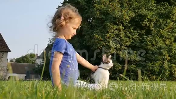 一个卷曲的小女孩抚摸一只三色的猫。 家庭日。 宠物