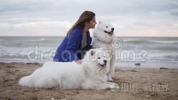 一个年轻的女人坐在沙滩上，拥抱她在海边的萨莫伊德品种的狗。 白色绒毛宠物