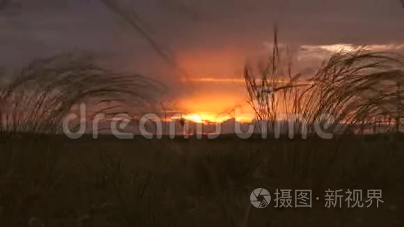 夕阳在田野上美丽的时光流逝。 远处的雨云和五颜六色的晚霞在蓝天上