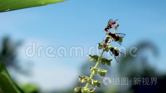 在天空中