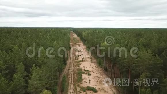 在森林里清除