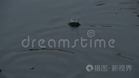 暴风雨过后地面上的雨视频