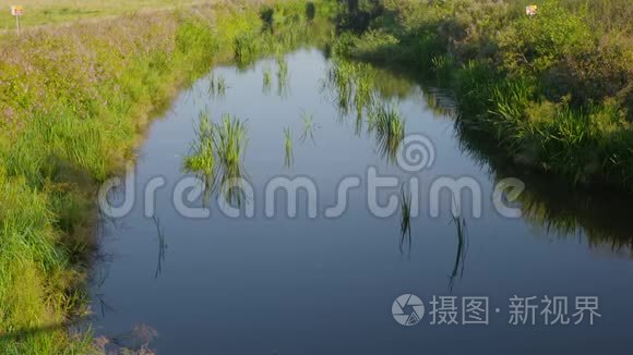 田间沟渠中的水视频