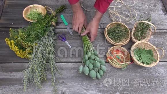 草药师园丁手准备干草药和香料视频