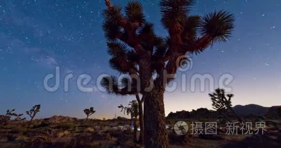 夜空银河约书亚树景视频