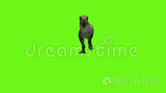 霸王龙恐龙动画上的绿色画面.. 很现实的渲染。 4k.