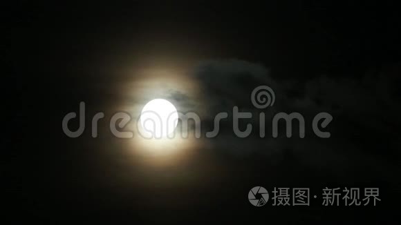 夜月幻想视频